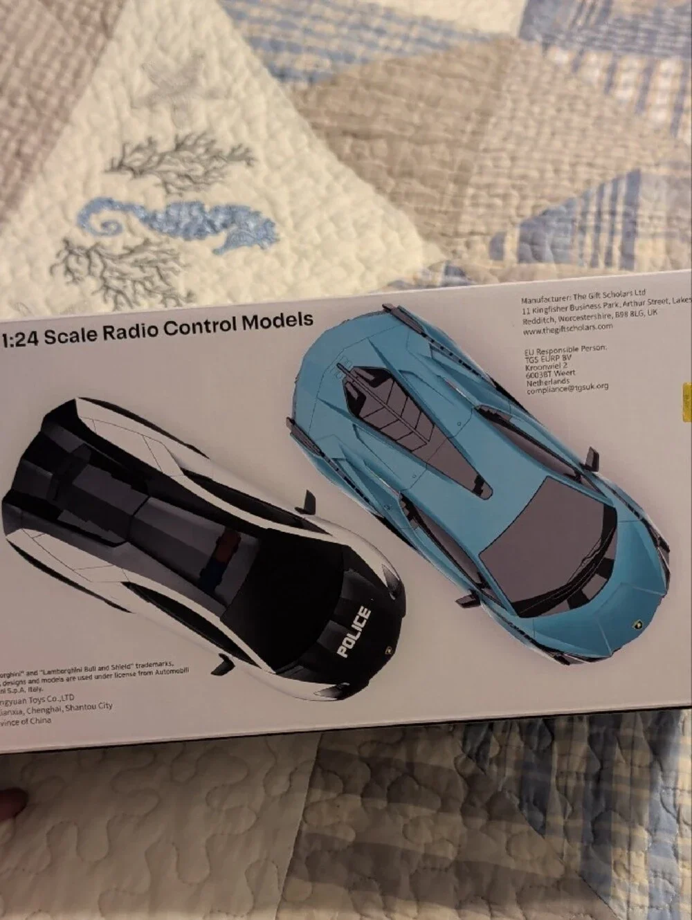 Lamborghini Metallic Teal and Black RC Twin Pack